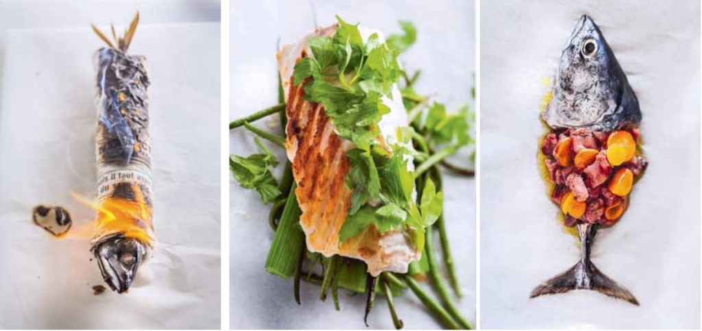 Fish de Phillipe Emanuelli con fotografías de Frèderique Raevens 