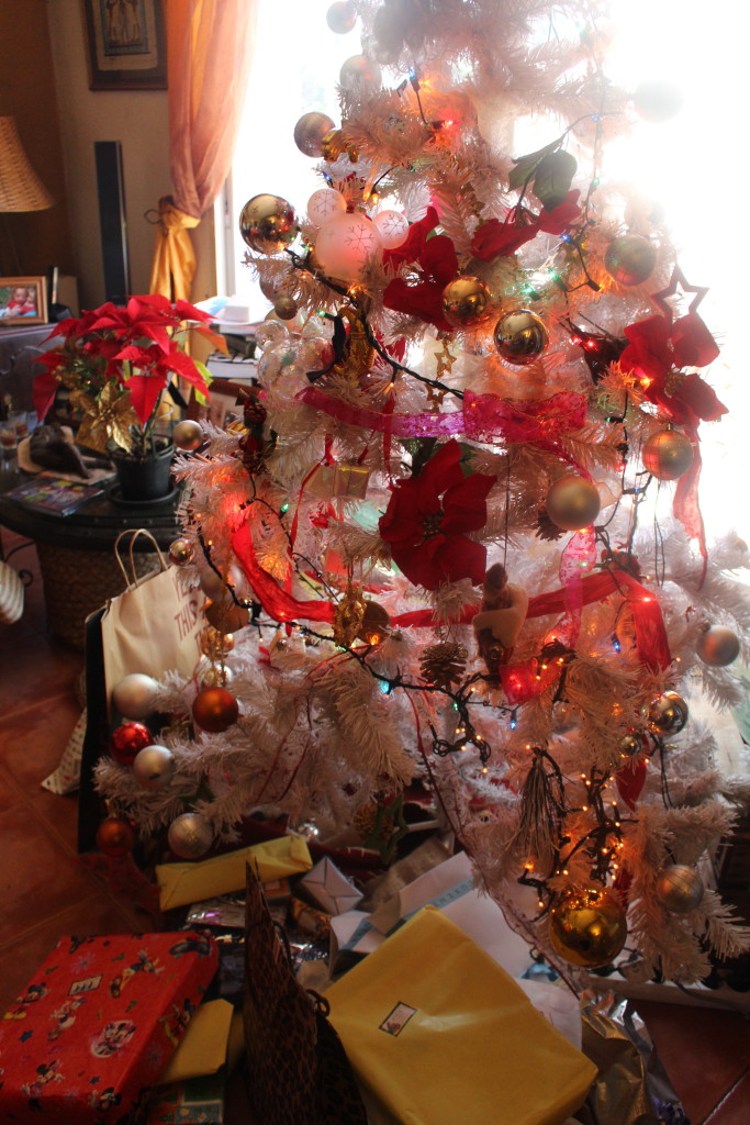 Santa Claus se ha portado muy bien