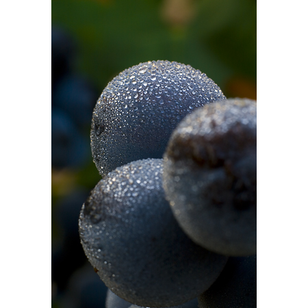 PHotoEspaña, el primer concurso de fotografía con #EspírituRibera