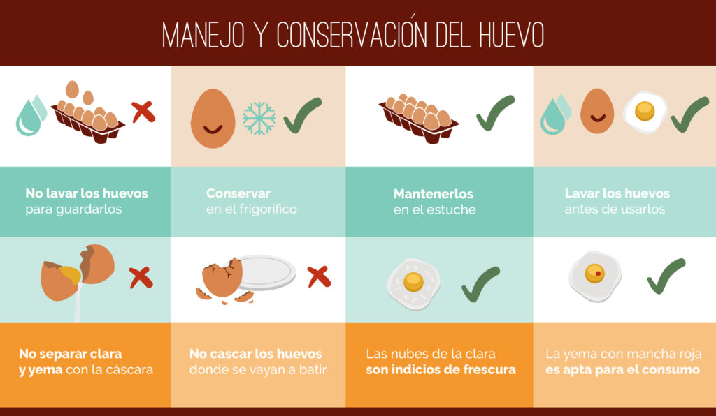 Manejo y conservación del huevo