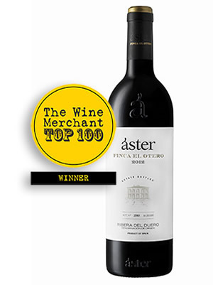 Aster Finca El Otero 2012