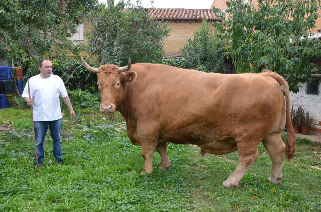 José Gordón con Pezuñas