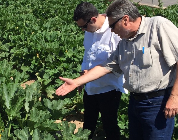 Ricard Camarena ha sido distinguido con el premio 'ADN Agro' por el Grupo Cajamar, por poner en valor a los agricultores locales que cultivan la huerta valenciana