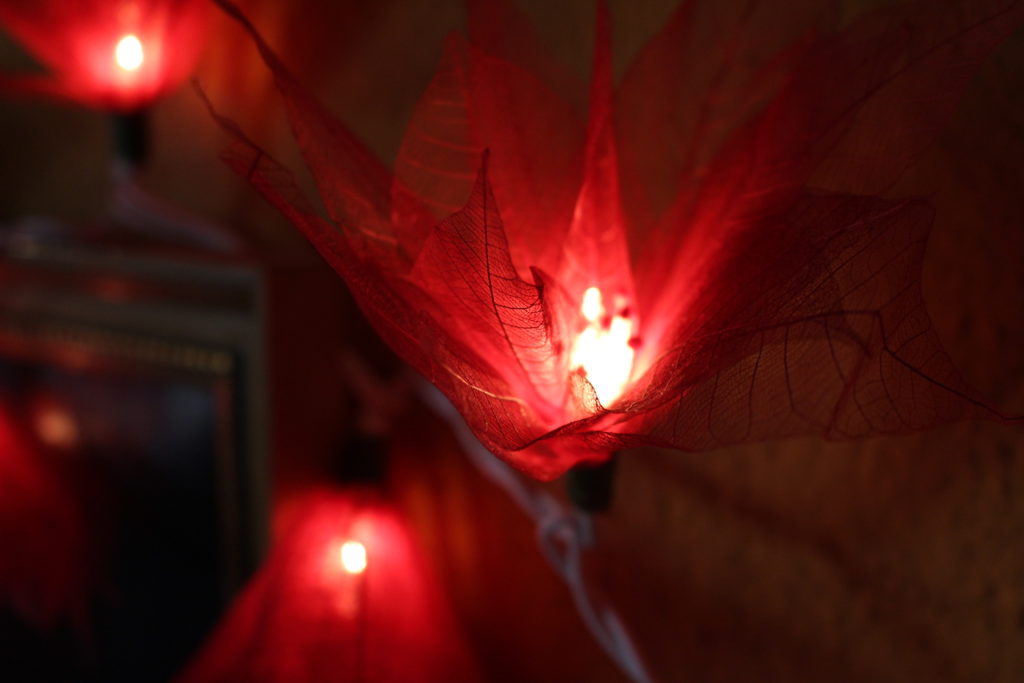 Rituales Fin de Año