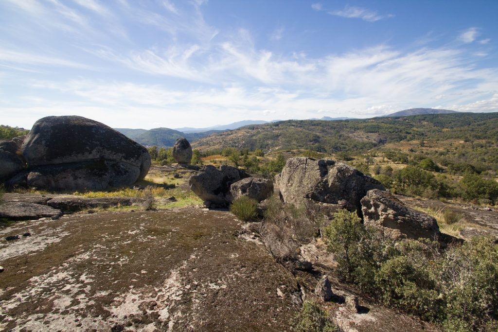 La Ruta del Vino Sierra de Francia se incorpora al club de producto Rutas del Vino de España