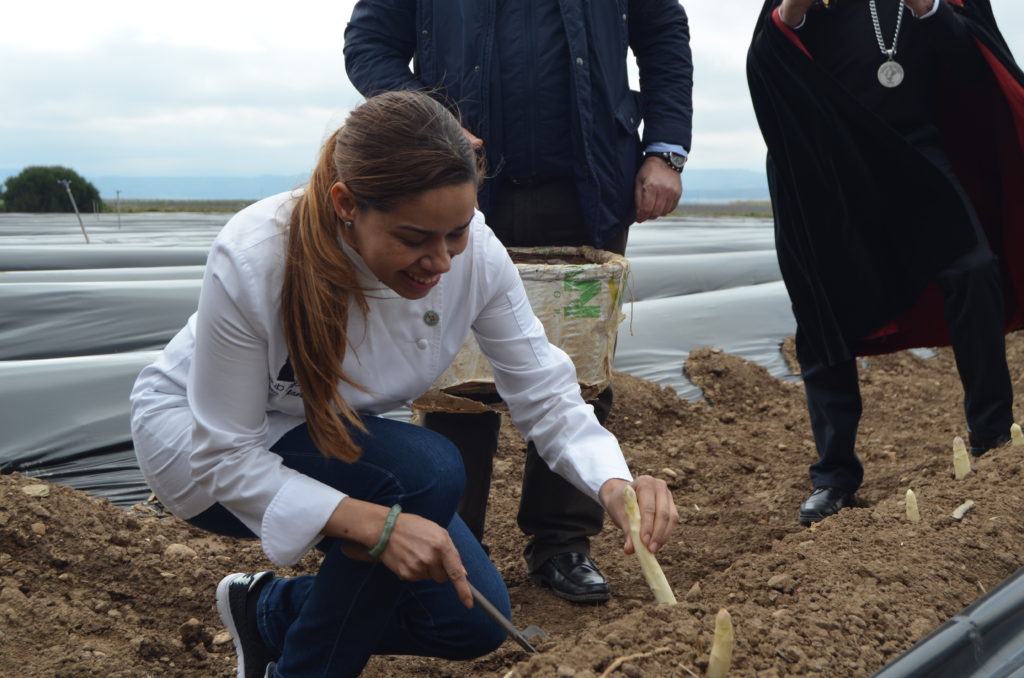 María Marte en la la VII Cata del primer espárrago de Navarra