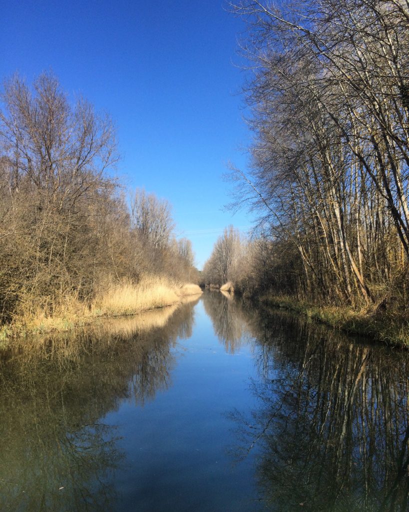 Canal de Castilla